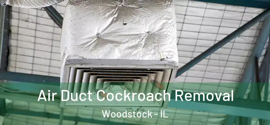  Air Duct Cockroach Removal Woodstock - IL