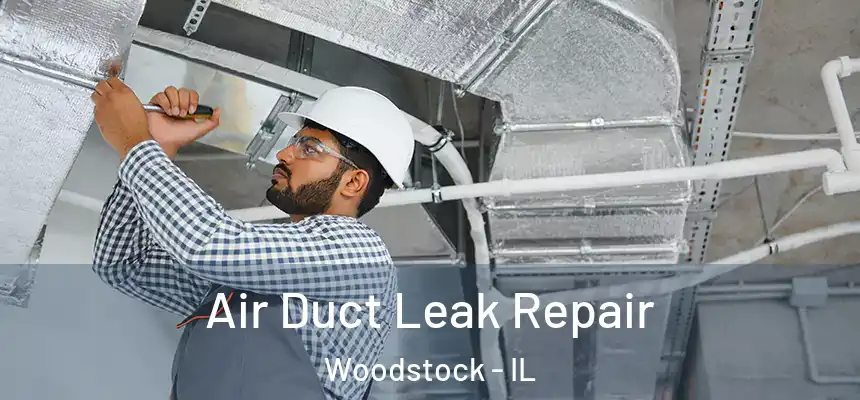  Air Duct Leak Repair Woodstock - IL