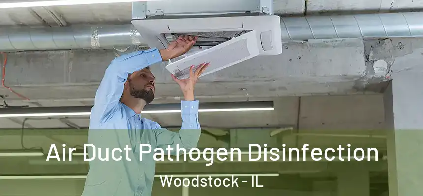 Air Duct Pathogen Disinfection Woodstock - IL