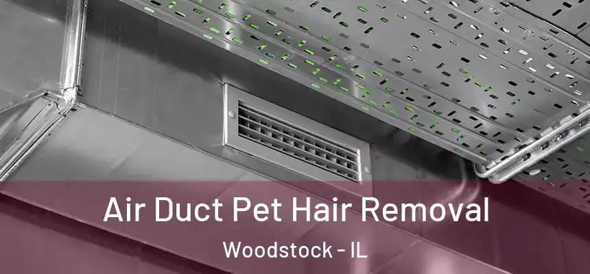 Air Duct Pet Hair Removal Woodstock - IL