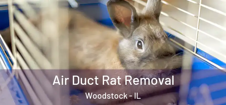 Air Duct Rat Removal Woodstock - IL