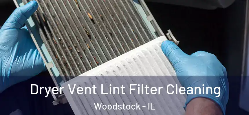 Dryer Vent Lint Filter Cleaning Woodstock - IL