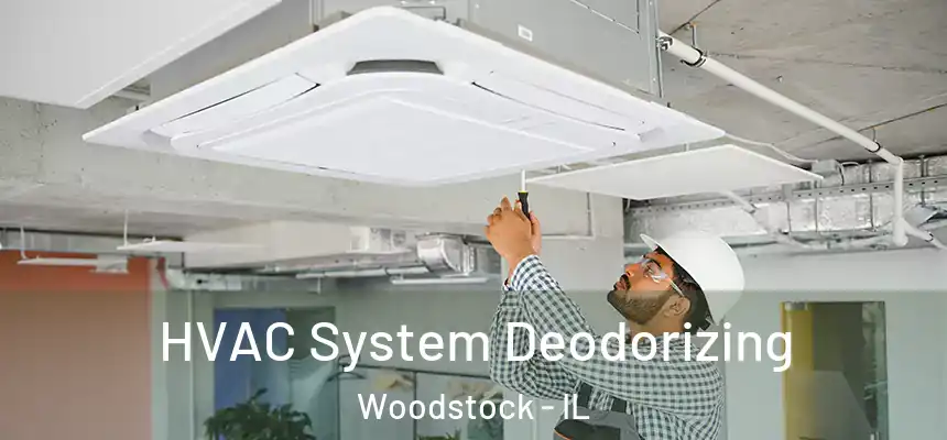 HVAC System Deodorizing Woodstock - IL