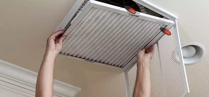 Preventive Cockroach-Proofing for Ducts in Woodstock