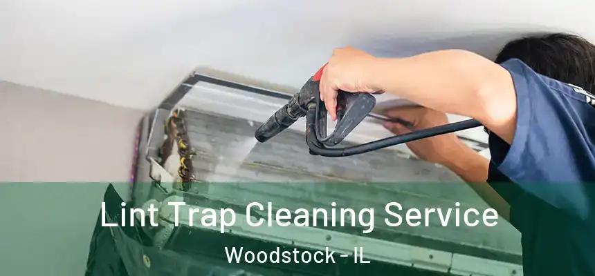 Lint Trap Cleaning Service Woodstock - IL