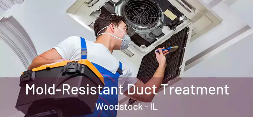Mold-Resistant Duct Treatment Woodstock - IL