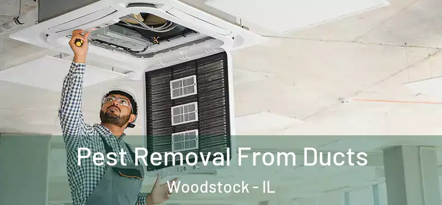 Pest Removal From Ducts Woodstock - IL