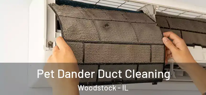 Pet Dander Duct Cleaning Woodstock - IL