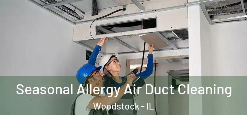  Seasonal Allergy Air Duct Cleaning Woodstock - IL