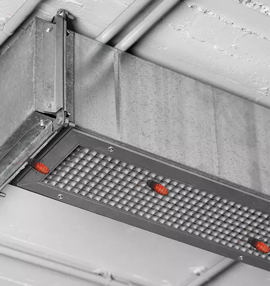 About Air Duct Cockroach Removal in Woodstock, IL