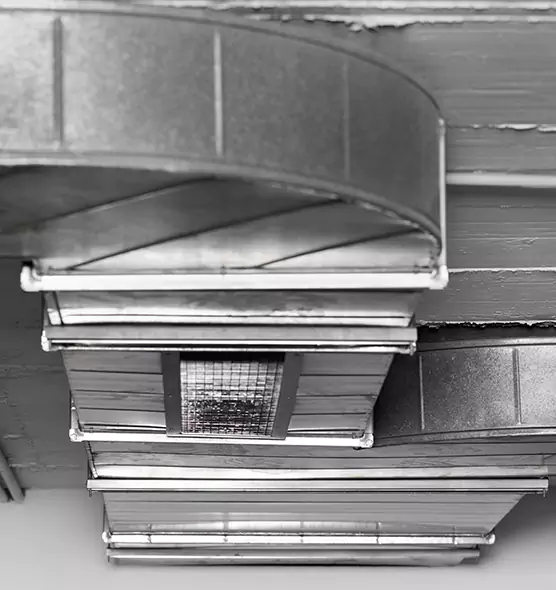 Professional Air Duct Pest Removal in Woodstock, IL