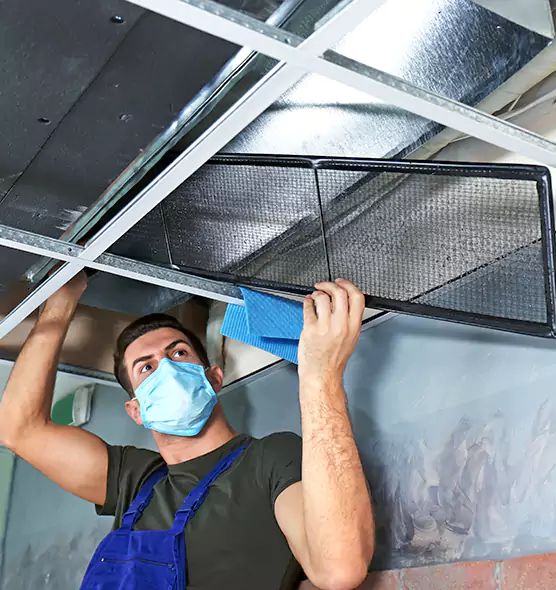 Professional Air Duct Pollen Cleaning in Woodstock, IL