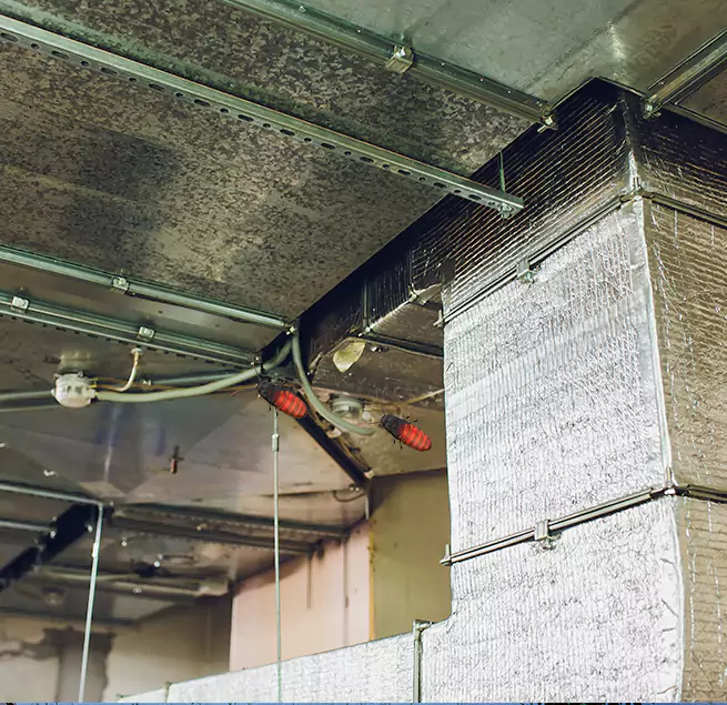 Why Homeowners & Businesses Trust Us in Woodstock, IL?