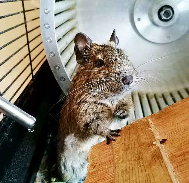 Why Homeowners & Businesses Trust Us Woodstock, IL