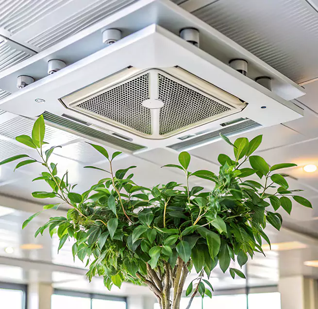 Why Homeowners & Businesses Trust Us in Woodstock, IL?